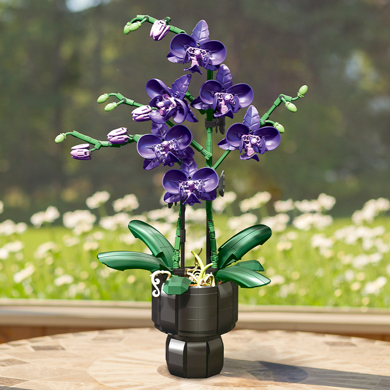 Orchid Plant Building Blocks ช - Orchid Kids Education บทวิจารณ์และราคา