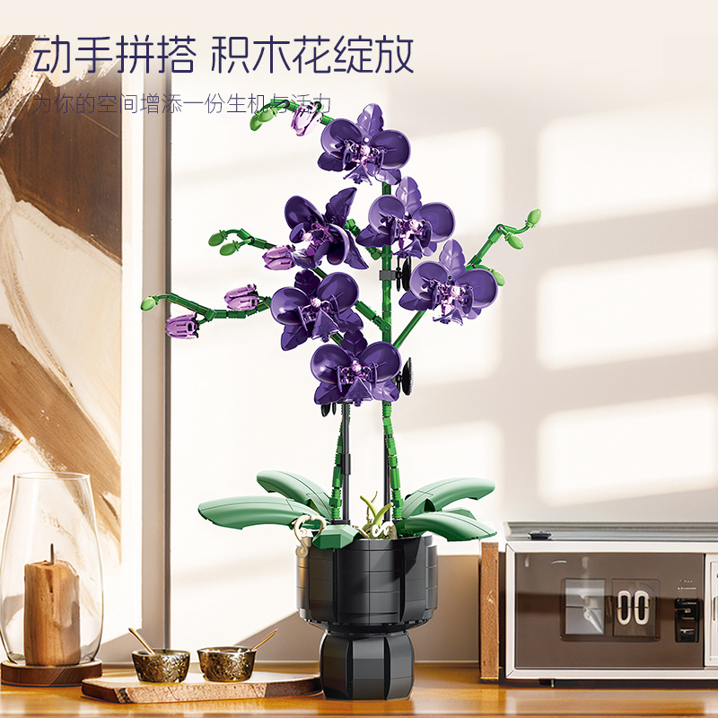 Orchid Plant Building Blocks ช - Orchid Kids Education บทวิจารณ์และราคา