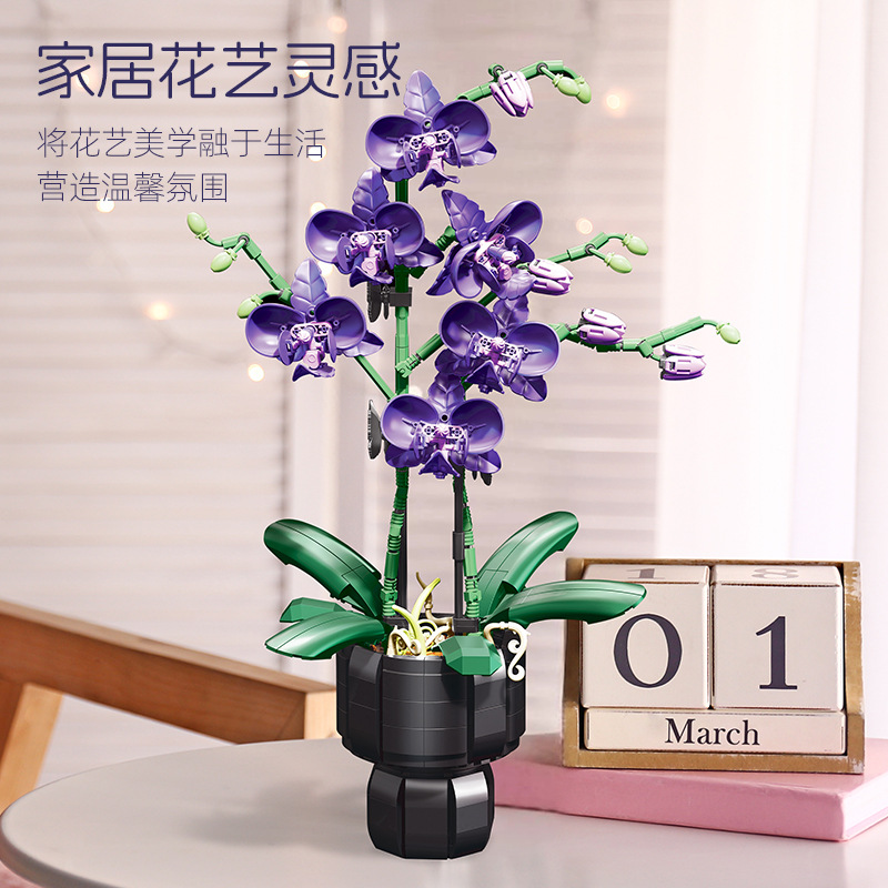 Orchid Plant Building Blocks ช - Orchid Kids Education บทวิจารณ์และราคา