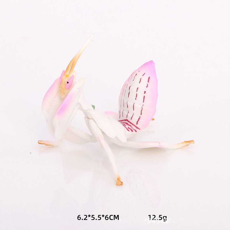 โมเดลของเล่นสัตว์เหมือนจริง แม - Orchid Kids Education บทวิจารณ์และราคา