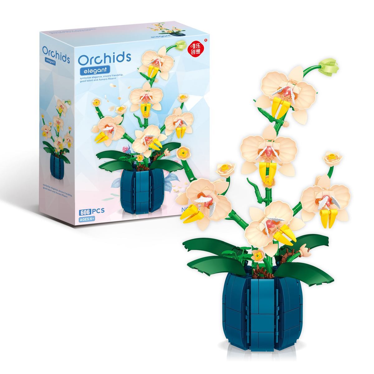 ดอกกล้วยไม้แบบตัวต่อ, อุปกรณ์ต - Orchid Kids Education บทวิจารณ์และราคา