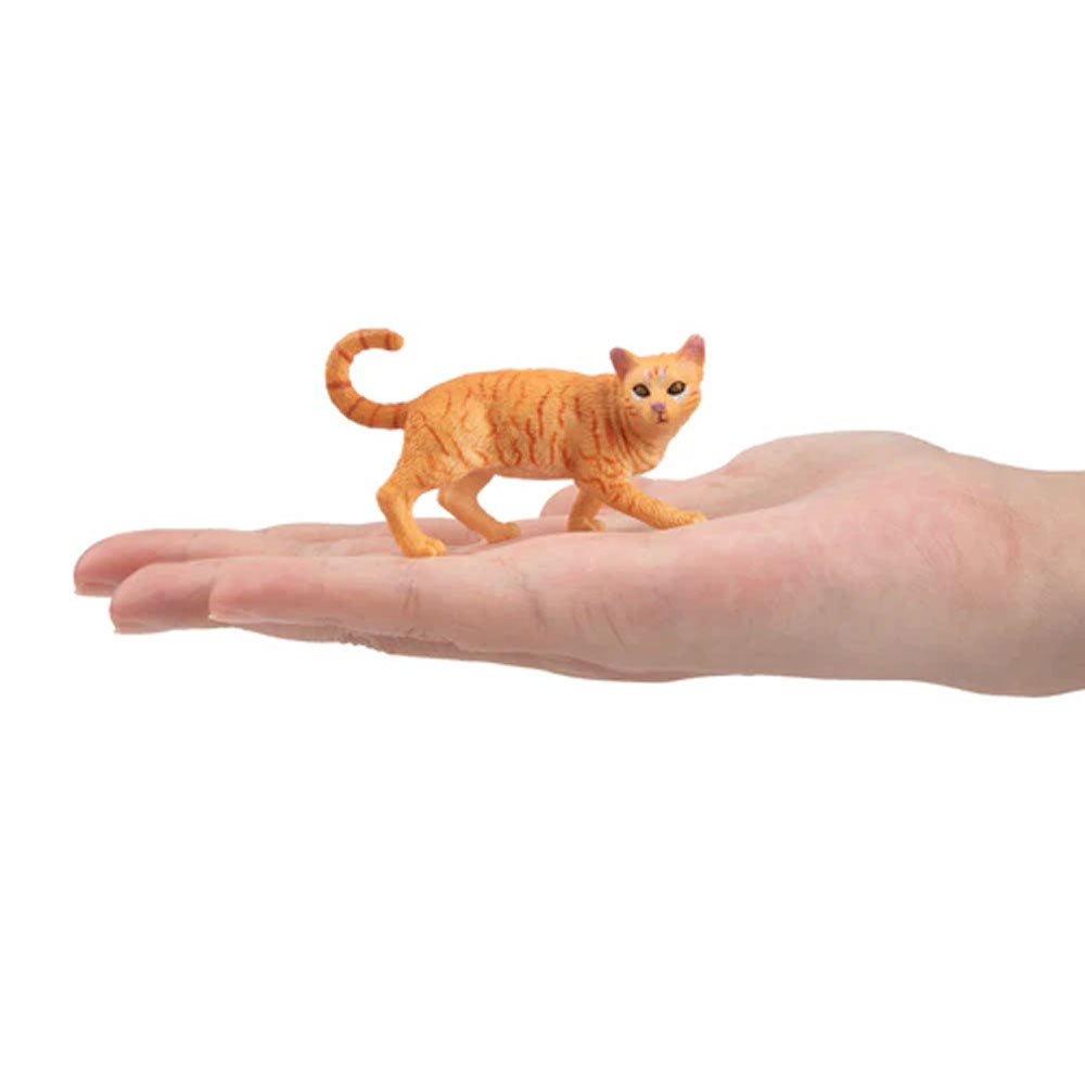 Toymany จําลอง Striding สีส้ม  - Kids Education Yes บทวิจารณ์และราคา