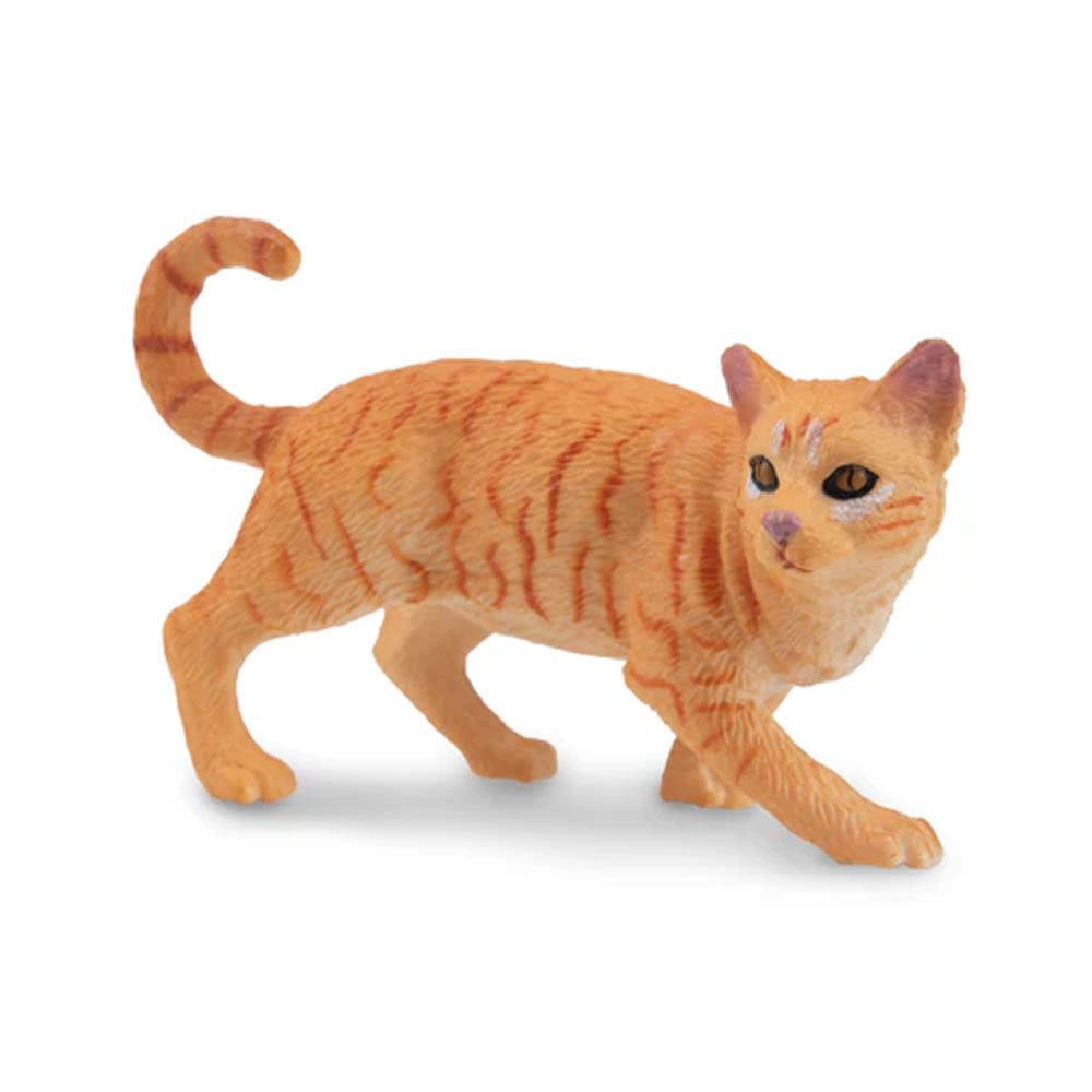 Toymany จําลอง Striding สีส้ม  - Kids Education Yes บทวิจารณ์และราคา